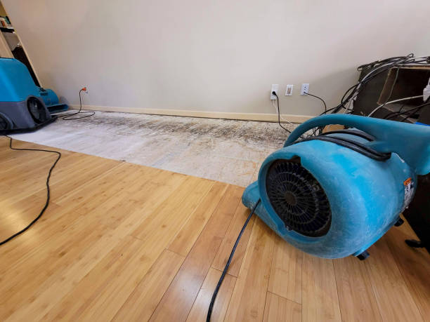 Reliable Basement Flood Cleanup contractor in Upper Black Eddy, PA by Hirex Water Damage