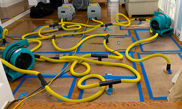 Professional Basement Flood Cleanup technician working in Upper Black Eddy, PA